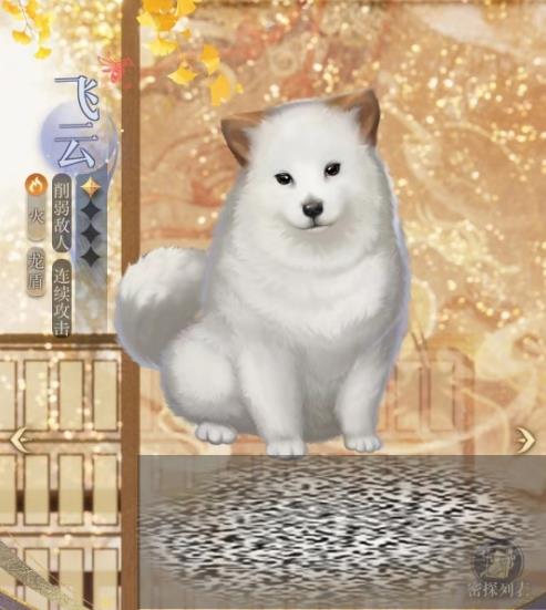 Ƽ ѡ