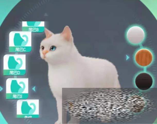 Ǽƻιʳ Ǽƻôιʳ