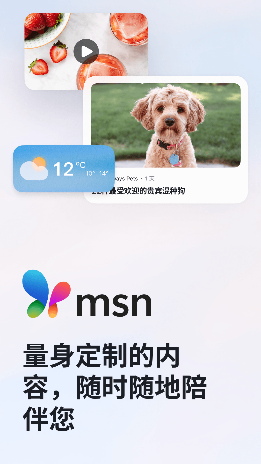 MSNͼ1