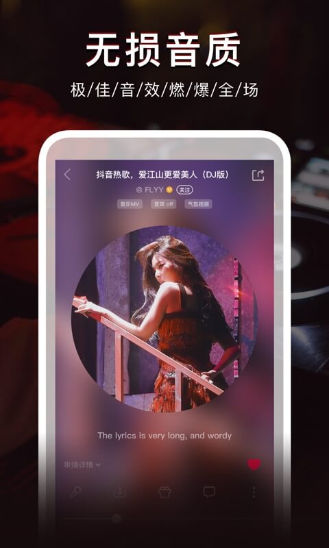 DJͼ2